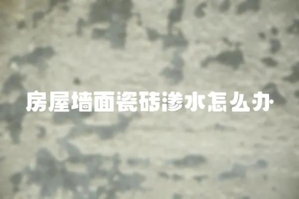 房屋墻面瓷磚滲水怎么辦