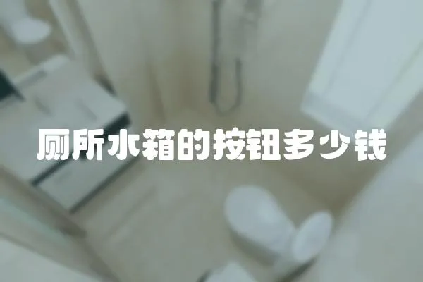 廁所水箱的按鈕多少錢(qián)