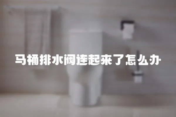 馬桶排水閥連起來了怎么辦