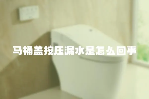 馬桶蓋按壓漏水是怎么回事