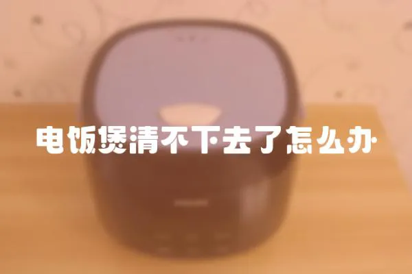 電飯煲清不下去了怎么辦