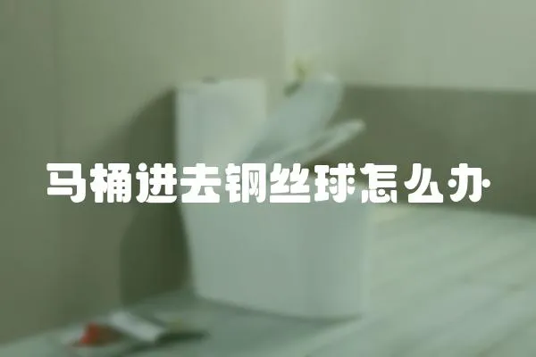 馬桶進去鋼絲球怎么辦