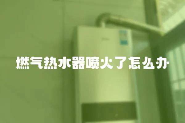 燃氣熱水器噴火了怎么辦