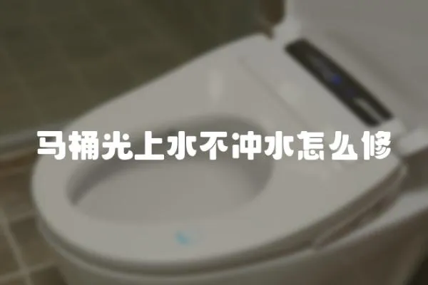 馬桶光上水不沖水怎么修