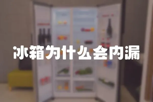 冰箱為什么會內漏