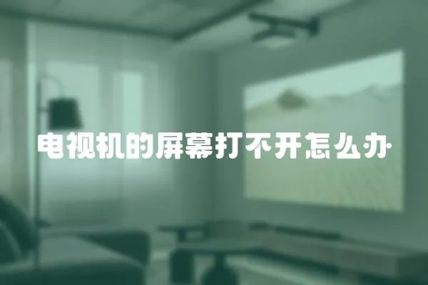 電視機的屏幕打不開怎么辦