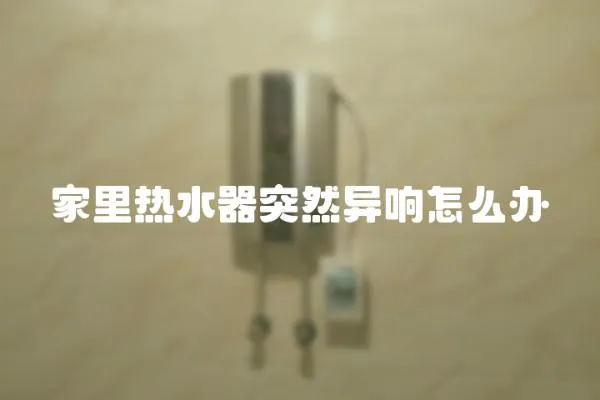 家里熱水器突然異響怎么辦