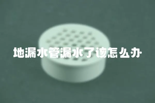地漏水管漏水了該怎么辦