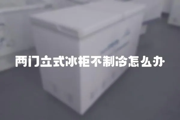 兩門立式冰柜不制冷怎么辦