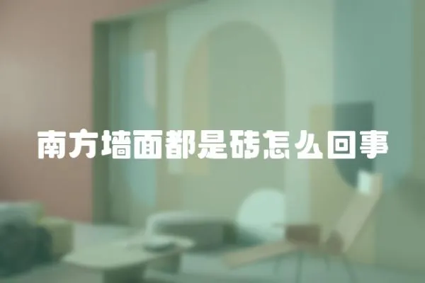 南方墻面都是磚怎么回事