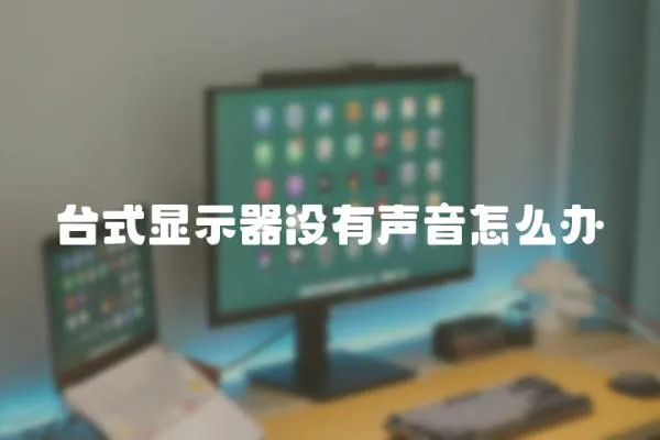 臺式顯示器沒有聲音怎么辦