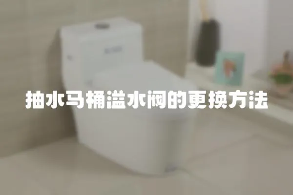 抽水馬桶溢水閥的更換方法