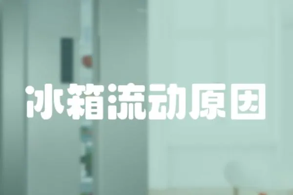 冰箱流動原因