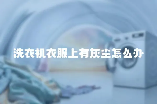 洗衣機衣服上有灰塵怎么辦