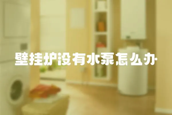 壁掛爐沒有水泵怎么辦