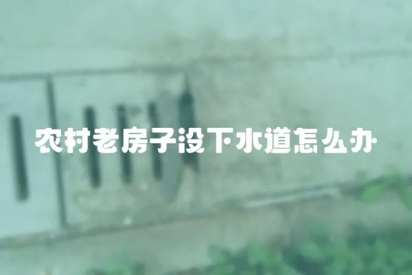 農(nóng)村老房子沒下水道怎么辦