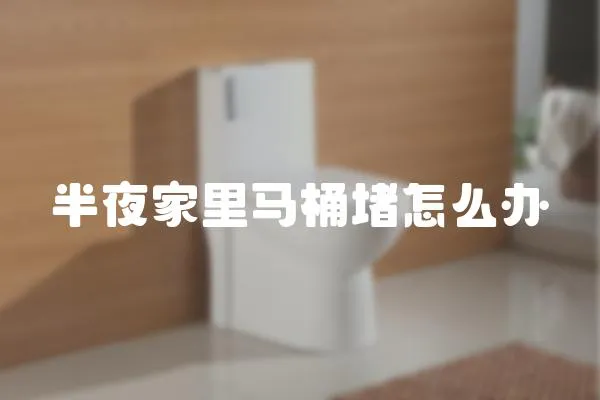 半夜家里馬桶堵怎么辦