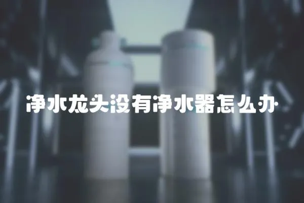 凈水龍頭沒有凈水器怎么辦