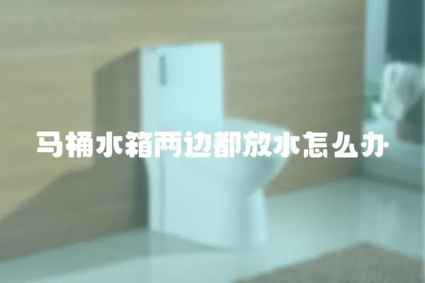 馬桶水箱兩邊都放水怎么辦