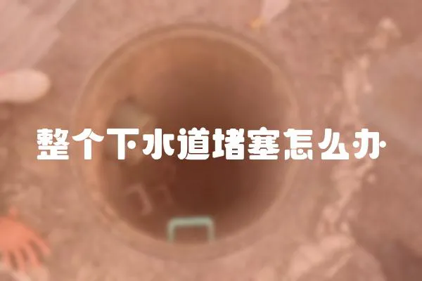整個下水道堵塞怎么辦