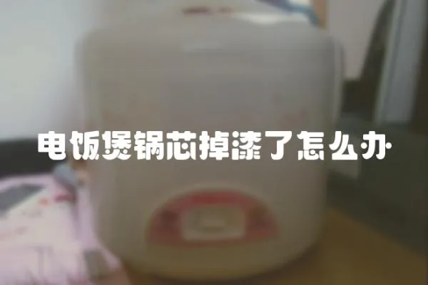 電飯煲鍋芯掉漆了怎么辦