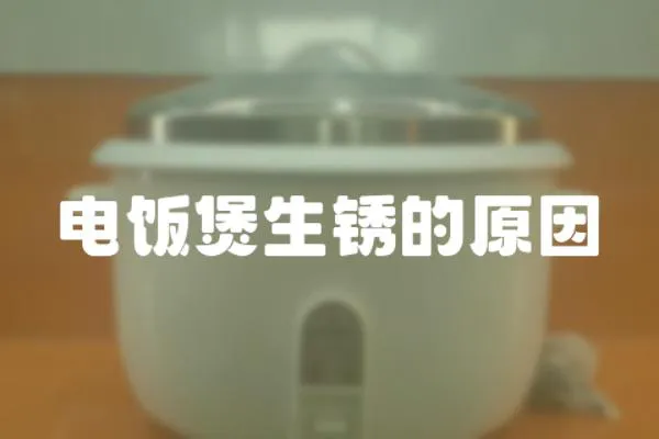 電飯煲生銹的原因