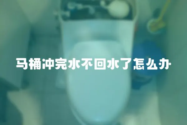 馬桶沖完水不回水了怎么辦