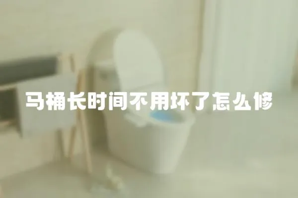 馬桶長時間不用壞了怎么修
