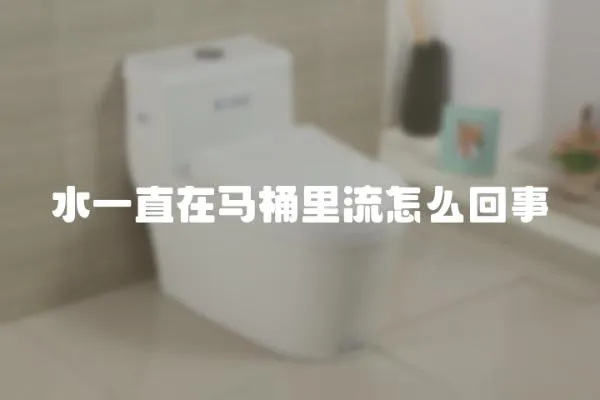 水一直在馬桶里流怎么回事