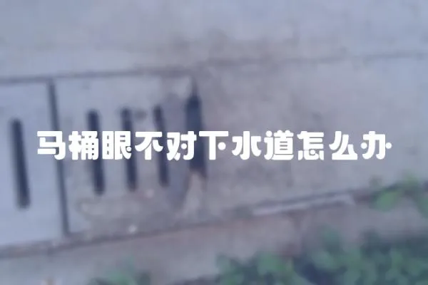 馬桶眼不對下水道怎么辦