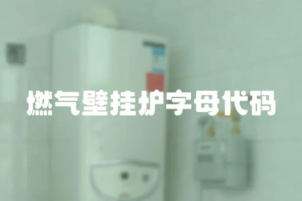 燃氣壁掛爐字母代碼