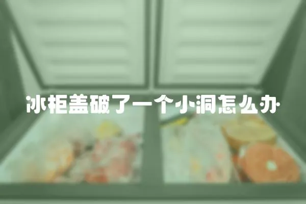 冰柜蓋破了一個(gè)小洞怎么辦