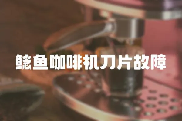 鯰魚咖啡機刀片故障