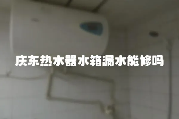 庆东热水器水箱漏水能修吗