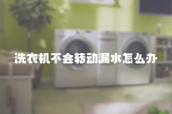 洗衣機不會轉動漏水怎么辦