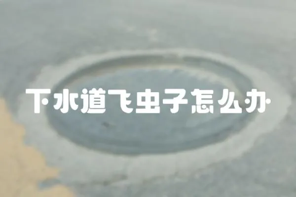 下水道飛蟲子怎么辦