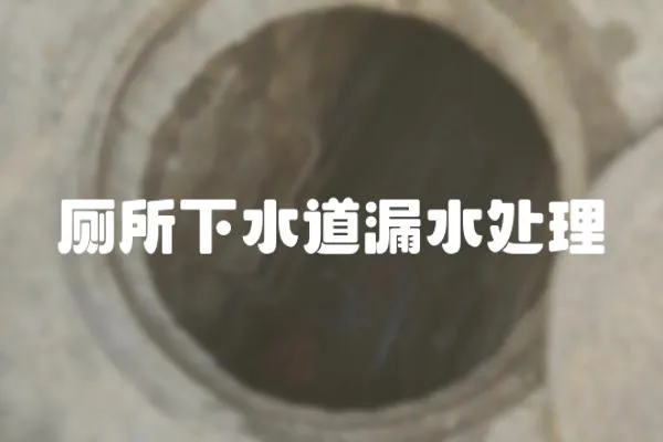 廁所下水道漏水處理