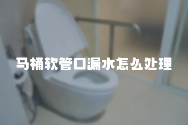 馬桶軟管口漏水怎么處理