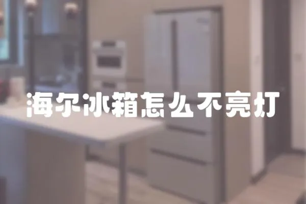 海爾冰箱怎么不亮燈