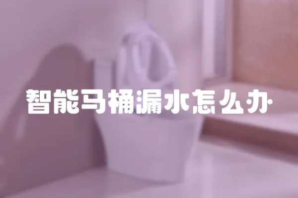 智能馬桶漏水怎么辦