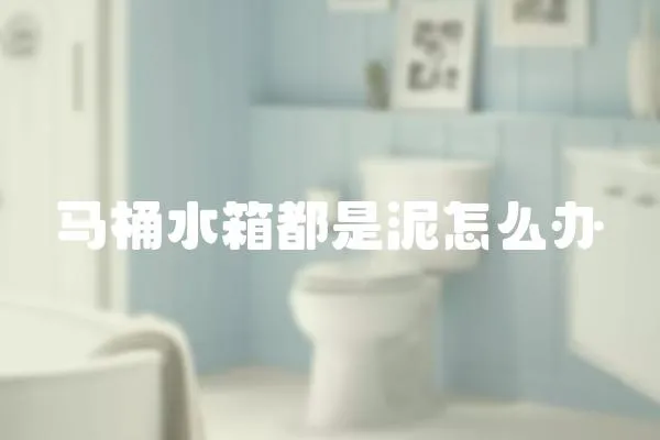 馬桶水箱都是泥怎么辦