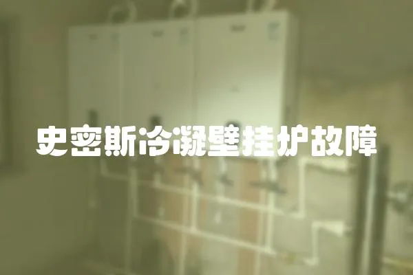 史密斯冷凝壁掛爐故障