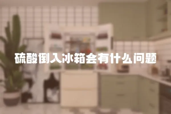 硫酸倒入冰箱會有什么問題