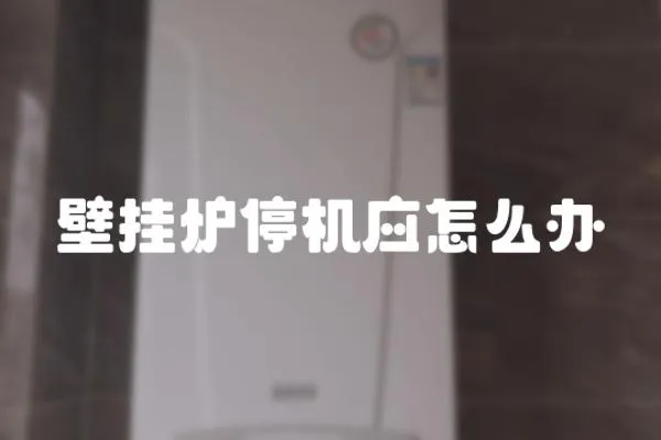 壁掛爐停機應怎么辦