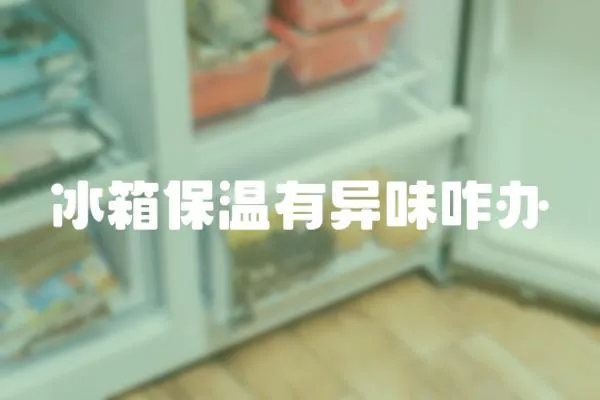 冰箱保溫有異味咋辦