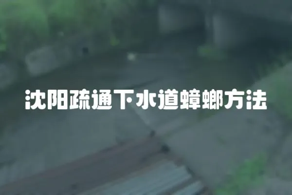 沈陽疏通下水道蟑螂方法