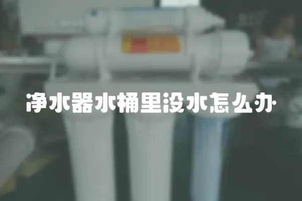 凈水器水桶里沒水怎么辦