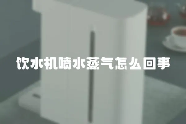 飲水機噴水蒸氣怎么回事