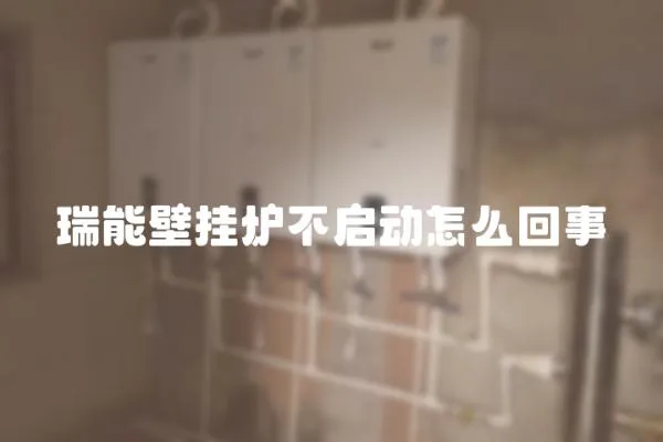 瑞能壁掛爐不啟動怎么回事