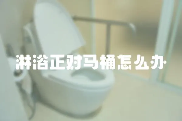 淋浴正對馬桶怎么辦
